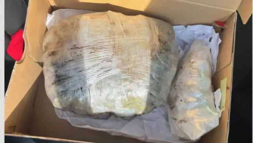 Decomision de un paquete de droga de 1.8 kilogramos en Hidalgo Foto: Milenio
