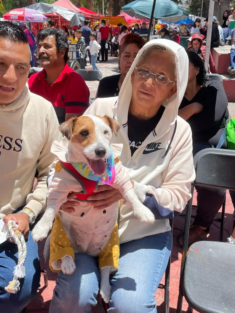 imagen recuadro Próximo evento con motivo de celebración del Día Internacional del Perro en el PerroFest en Pachuca, Hidalgo Foto: Cris Huerta