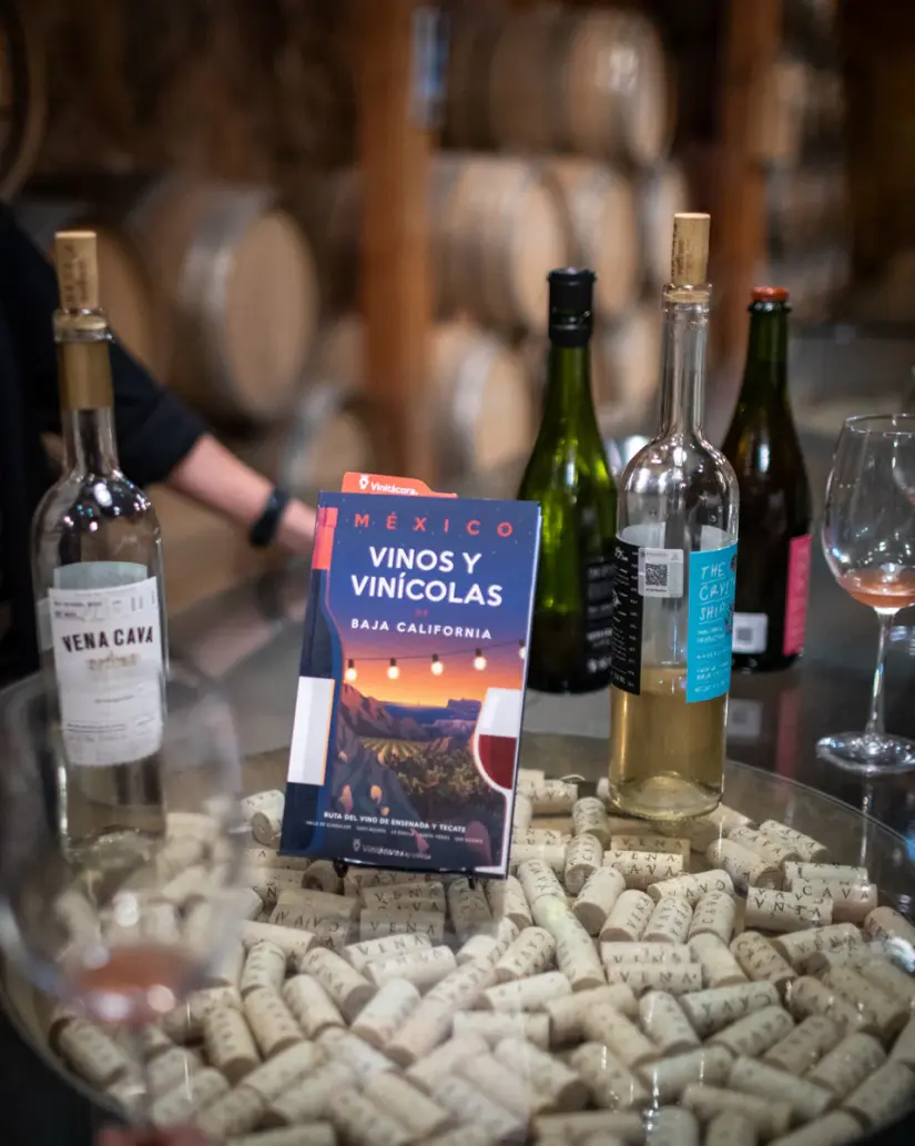 Baja California se consolida como líder en la producción de vino mexicano. Foto: Cortesía. Baja California se consolida como líder en la producción de vino mexicano. Foto: Cortesía.
