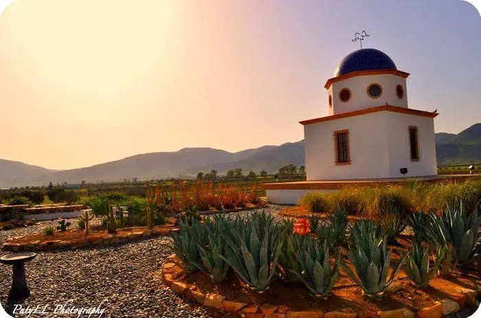 Disfruta de una copa de vino con unas vistas increíbles en este Viñedo. Foto: Cortesía. Disfruta de una copa de vino con unas vistas increíbles en este Viñedo. Foto: Cortesía.