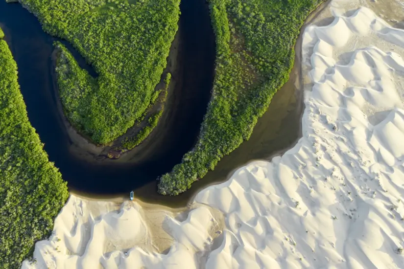 Disfruta de la belleza natural de Bahía de Magdalena en Baja California Sur. Foto: cortesía Disfruta de la belleza natural de Bahía de Magdalena en Baja California Sur. Foto: cortesía.