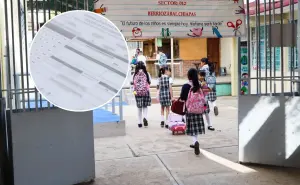 ¿Cómo descargar las calificaciones de la SEP en Estado de México?
