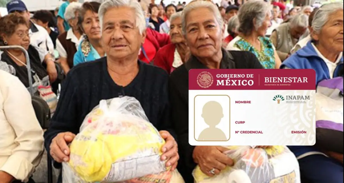 Conoce los otros beneficios que tiene la tarjeta INAPAM. Foto: Cortesía