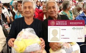 CDMX ofrece despensas gratis con INAPAM: Aprovecha este apoyo alimentario