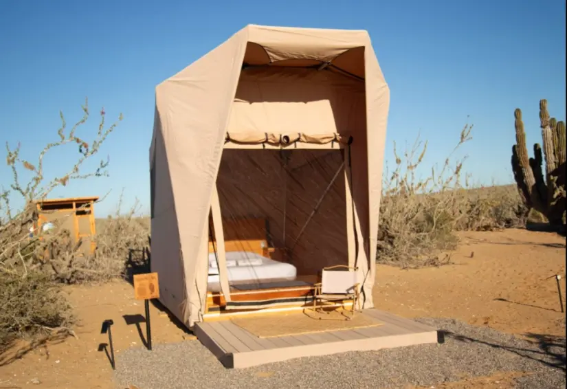 Podrás disfrutar del glamping en alguna de las playas cercanas a la Bahía de Magdalena. Foto: cortesía Podrás disfrutar del glamping en alguna de las playas cercanas a la Bahía de Magdalena. Foto: cortesía.