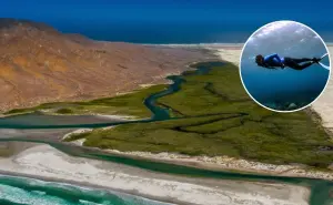 Bahía de Magdalena, un refugio natural por descubrir en Baja California Sur
