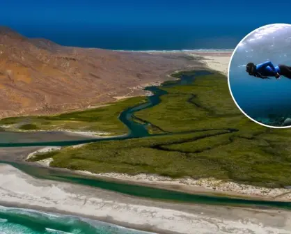 Bahía de Magdalena, un refugio natural por descubrir en Baja California Sur