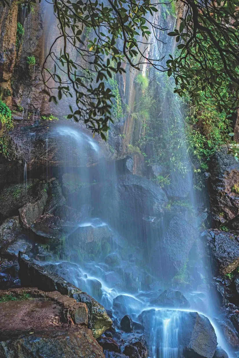 imagen recuadro Sierra de Lauren Foto: México Desconocido