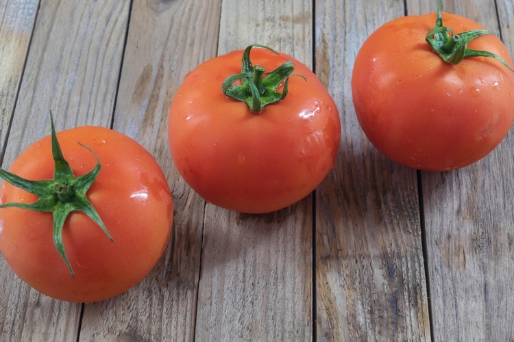 CAADES defiende el acuerdo del tomate y llama a EE.UU. a preservar la competitividad binacional