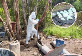 Golpe al narco en Sinaloa: aseguran fentanilo con valor de 378 millones de pesos en Cosalá