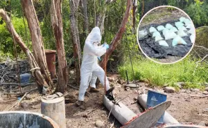 Golpe al narco en Sinaloa: aseguran fentanilo con valor de 378 millones de pesos en Cosalá