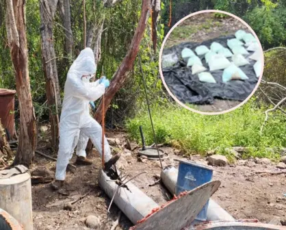 Golpe al narco en Sinaloa: aseguran fentanilo con valor de 378 millones de pesos en Cosalá