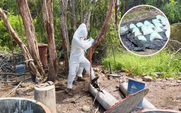 Golpe al narco en Sinaloa: aseguran fentanilo con valor de 378 millones de pesos en Cosalá