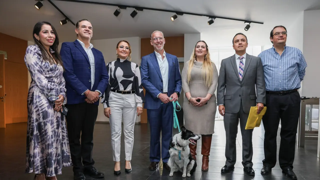 Estos son los detalles acerca de la Ley de Bienestar Animal en Querétaro. Foto: Cortesía.