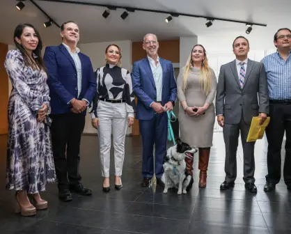 Ley de Bienestar Animal en Querétaro: ¿En qué consiste?