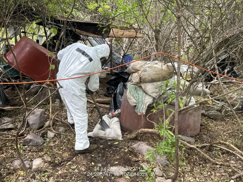 Marina neutraliza laboratorio clandestino en Abuya, Sinaloa Se destruyó el material asegurado. Foto: Marina