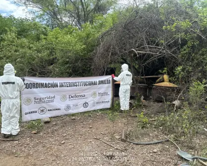Marina neutraliza laboratorio clandestino en Abuya, Sinaloa; representa un golpe de $81 mdp
