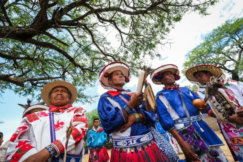 El reconocimiento representa una herramienta de sobrevivencia para la cultura Wixaritari. Foto: Cortesía. El reconocimiento representa una herramienta de sobrevivencia para la cultura Wixaritari. Foto: Cortesía.