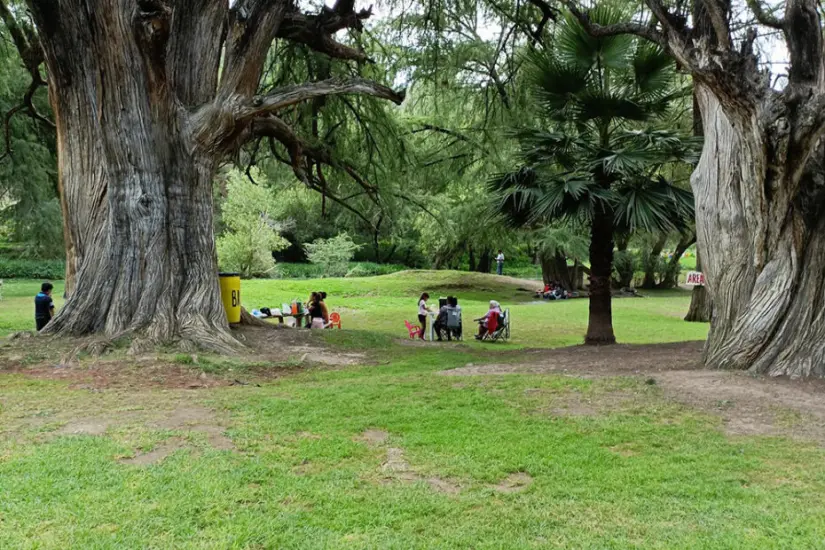 Se conoce como El Sabinal, un parque ecológico ubicado en Aguascalientes. Foto: Cortesía. Se conoce como El Sabinal, un parque ecológico ubicado en Aguascalientes. Foto: Cortesía.