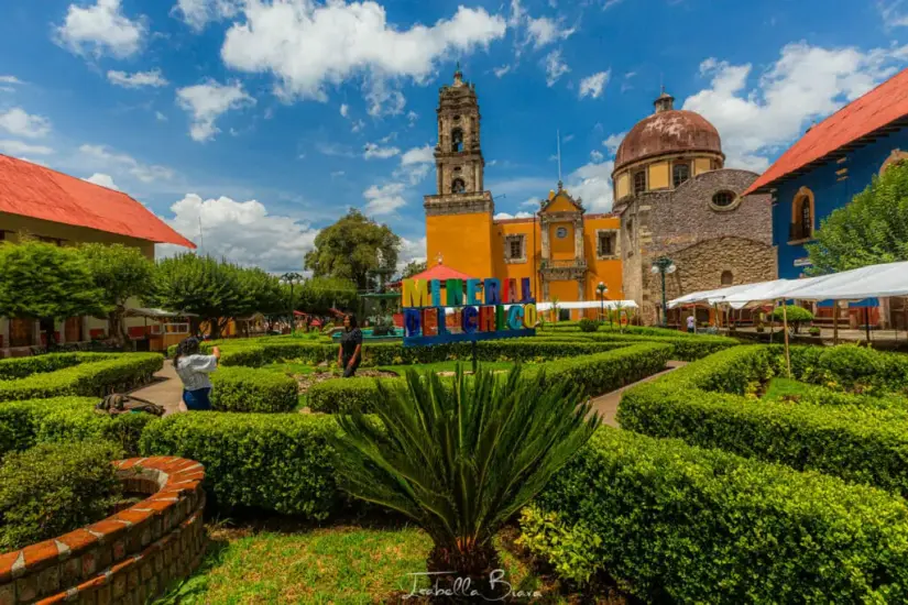 Moneral de Chico en Hidalgo. Foto: Cortesía. Moneral de Chico en Hidalgo. Foto: Cortesía.