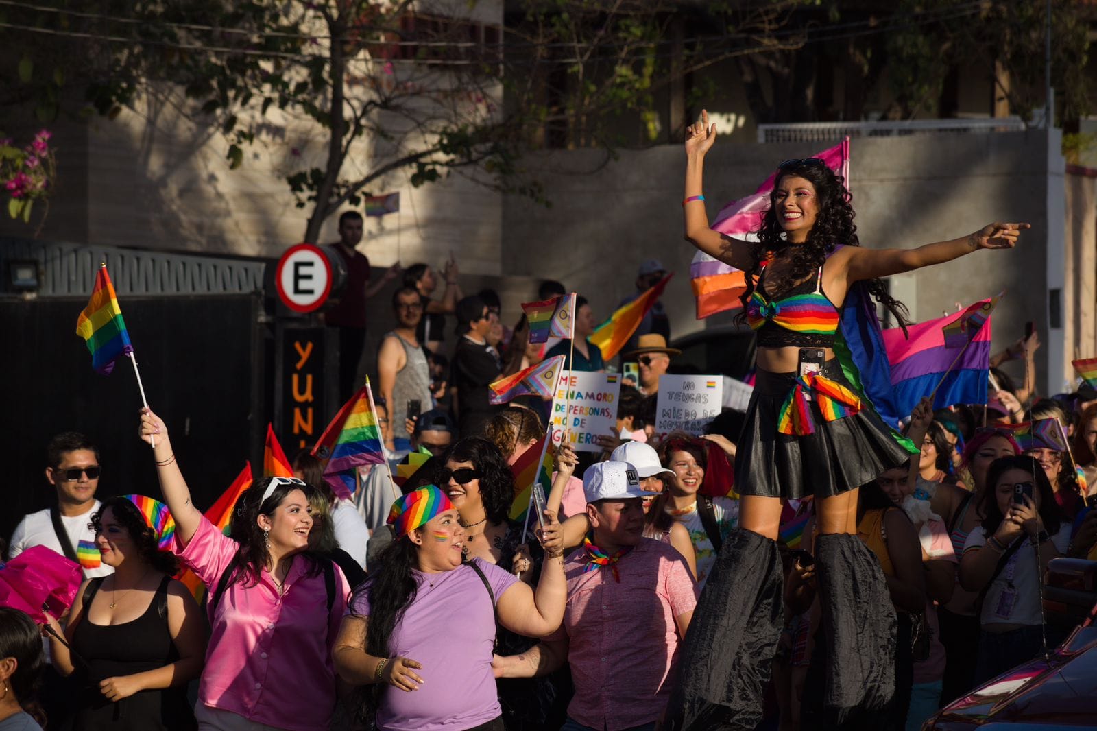 Imagen 12