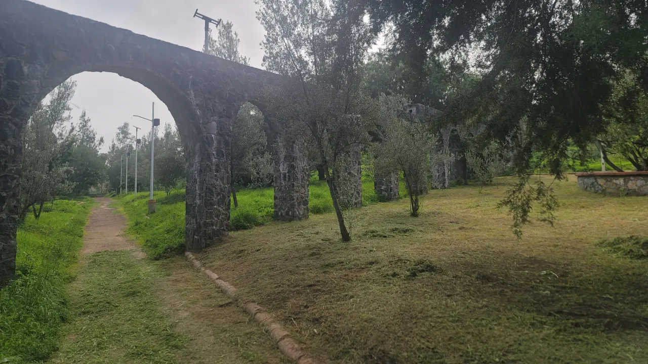 Sumérgete en la historia, cultura y ecología del Parque de los Olivos en Tláhuac.