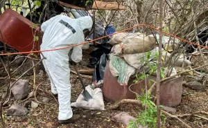Desmantelan megalaboratorio de drogas en Culiacán, el golpe millonario al crimen organizado es de 81 millones de pesos