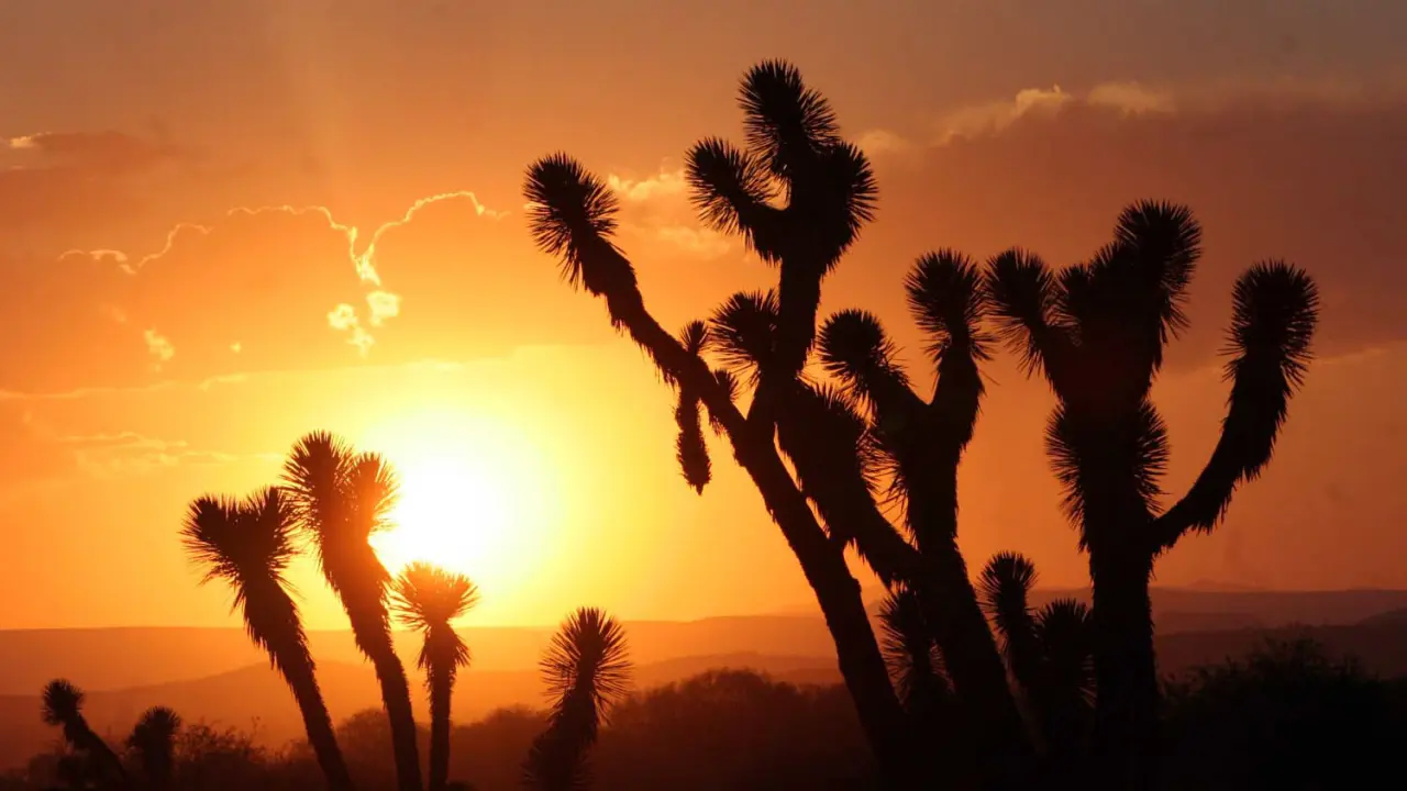 Habrá altas temperaturas en casi todo el estado. Foto: Cortesía