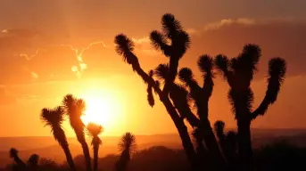 Clima en Sonora jueves 17 de julio: Calor extremo y baja probabilidad de lluvias