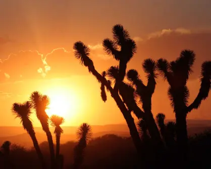 Clima en Sonora jueves 17 de julio: Calor extremo y baja probabilidad de lluvias
