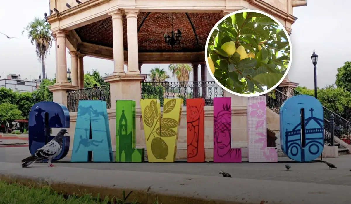 Qué hacer al visitar todos sus atractivo  en el pueblo mágico de Calvillo Foto: México Desconocido