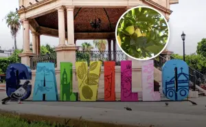 ¿Qué visitar en Calvillo? El pueblo de mágico de Aguascalientes y capital mundial de la guayaba