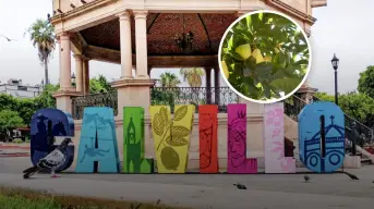 ¿Qué visitar en Calvillo? El pueblo de mágico de Aguascalientes y capital mundial de la guayaba