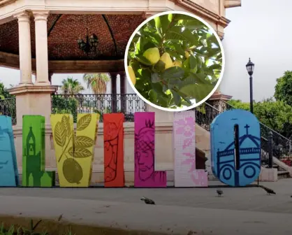 ¿Qué visitar en Calvillo? El pueblo de mágico de Aguascalientes y capital mundial de la guayaba