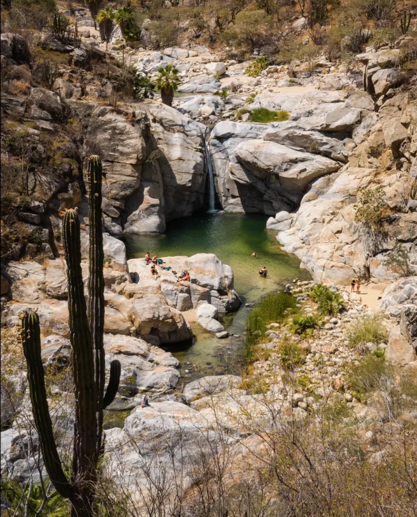 Rancho Ecológico Sol de Mayo en Baja California Sur. Foto: cortesía Rancho Ecológico Sol de Mayo en Baja California Sur. Foto: cortesía.