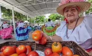 CDI No. 2 DIF Sinaloa en Culiacán: un semillero lleno de vida y esperanza para nuevos sueños y aprendizajes