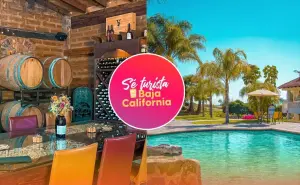 Tarjeta Sé Turista en Baja California: Beneficios, puntos de registro y a quién va dirigida