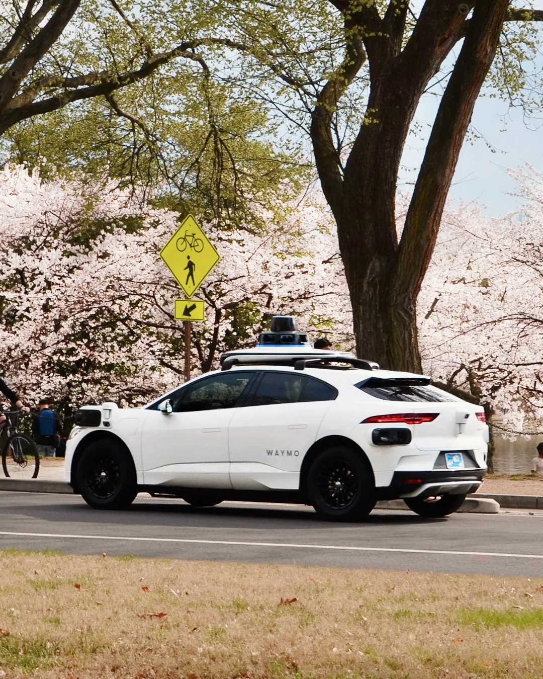 Waymo 