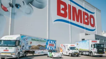 ¿De qué estado es Bimbo? La historia de la panificadora más grande de México