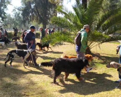Celebra junto a tu mascota en el Festival para Perros en CDMX; actividades