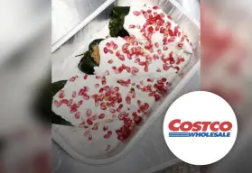 Costco México lanza chile en nogada por Fiestas Patrias: precio y disponibilidad