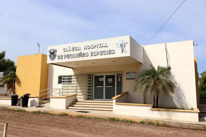 El Hospital Veterinario de Pequeñas Especies de la Universidad Autónoma de Sinaloa (UAS) en Culiacán, perteneciente a la Facultad de Medicina Veterinaria y Zootecnia (FMVZ-UAS), ofrece servicios de consulta, medicina preventiva y cirugías para perros y gato. Está ubicado en Blvd. San Angel 3670, Mercado de Abastos, 80260 Culiacán Rosales, Sin. El Hospital Veterinario de Pequeñas Especies de la Universidad Autónoma de Sinaloa (UAS) en Culiacán, perteneciente a la Facultad de Medicina Veterinaria y Zootecnia (FMVZ-UAS), ofrece servicios de consulta, medicina preventiva y cirugías para perros y gato. Está ubicado en Blvd. San Angel 3670, Mercado de Abastos, 80260 Culiacán Rosales, Sin.
