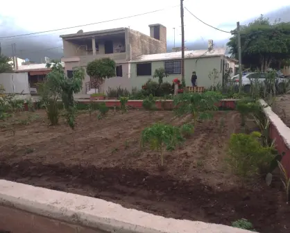 En Barrancos también hay tierra fértil y un huerto urbano que da buenos frutos