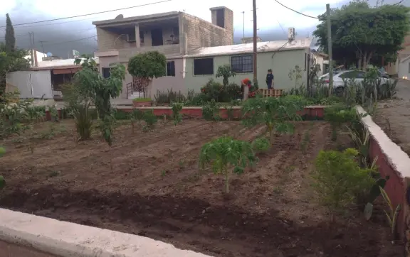 En Barrancos también hay tierra fértil y un huerto urbano que da buenos frutos
