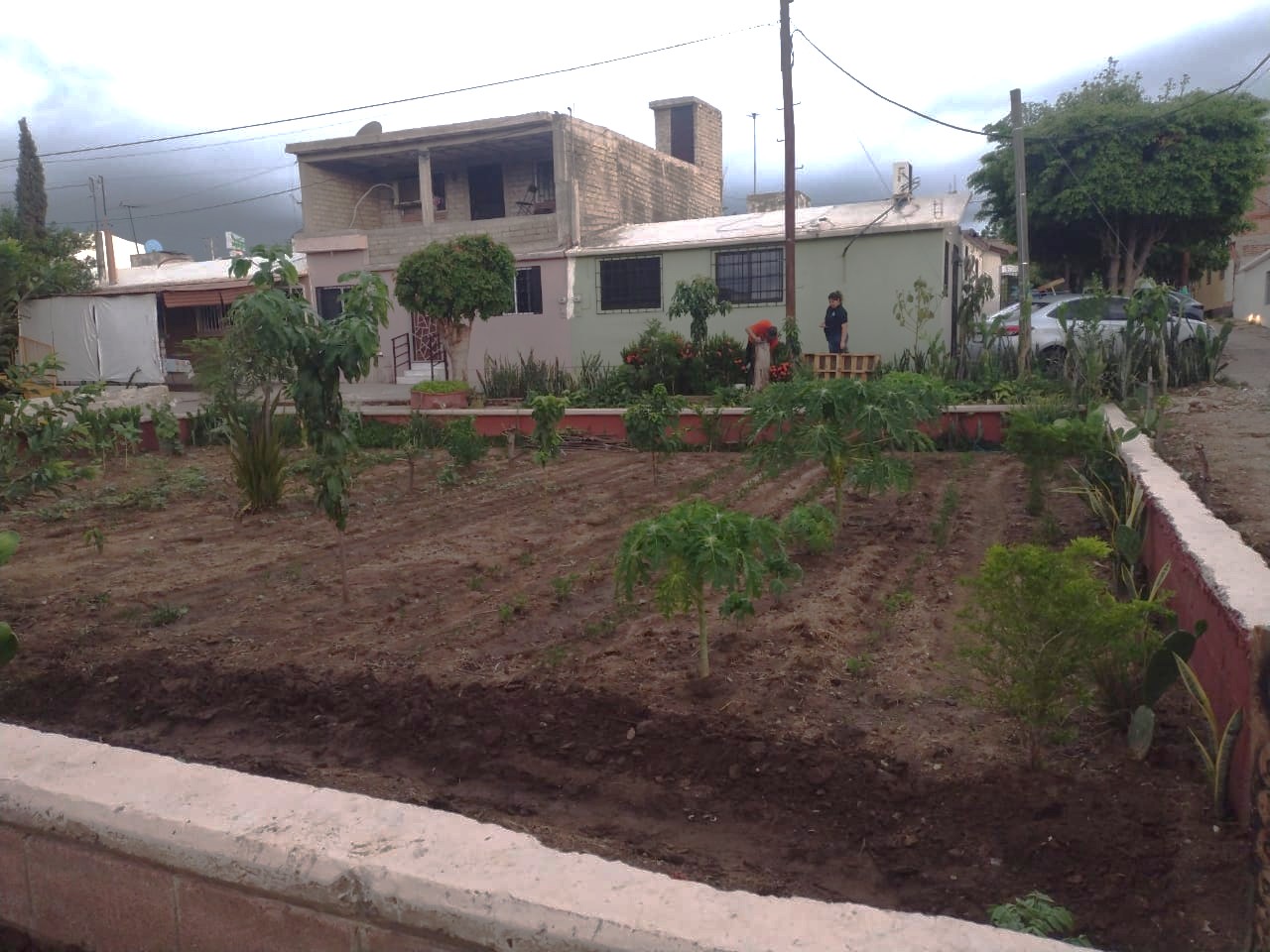 Imagen 7