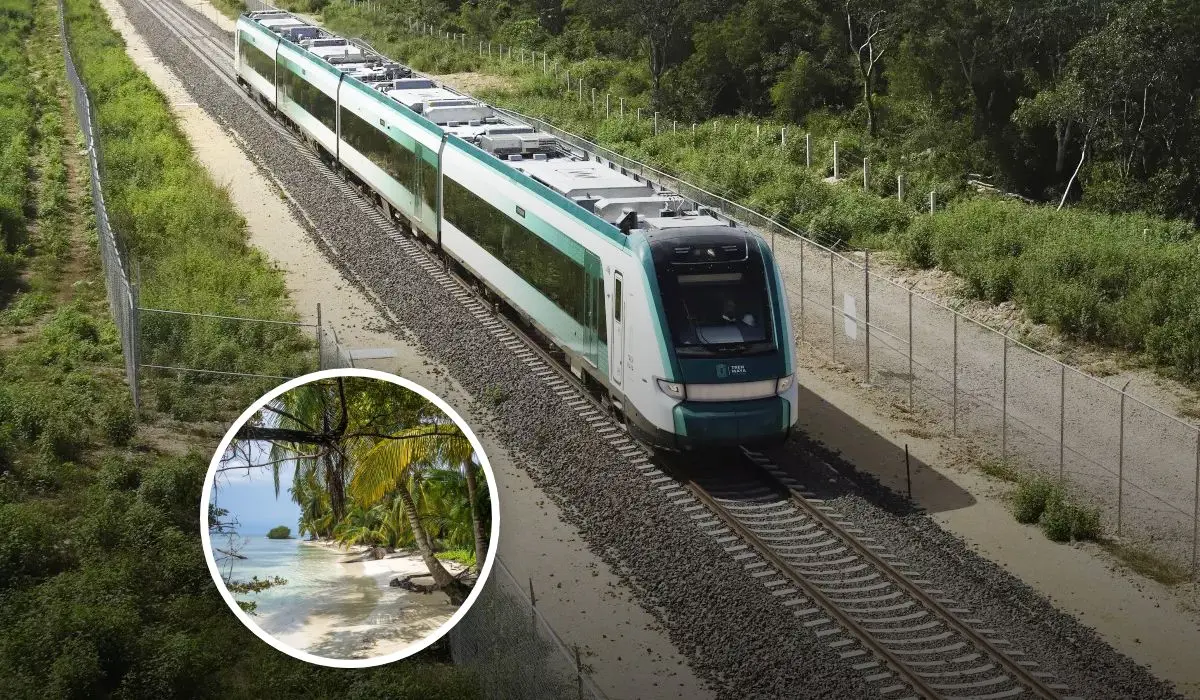 Paquetes turísticos del Tren Maya para estas vacaciones de verano 2025