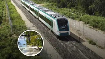 Paquetes turísticos del Tren Maya para estas vacaciones de verano 2025