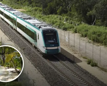 Paquetes turísticos del Tren Maya para estas vacaciones de verano 2025