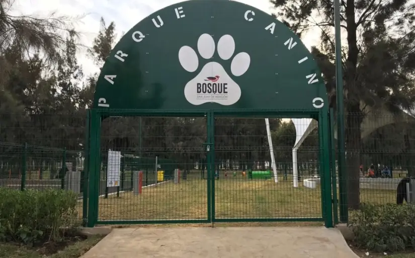 Conoce las dos rutas que puedes tomar para llegar al Bosque donde se celebrará el Festival para Perros en CDMX. Foto: Cortesía.