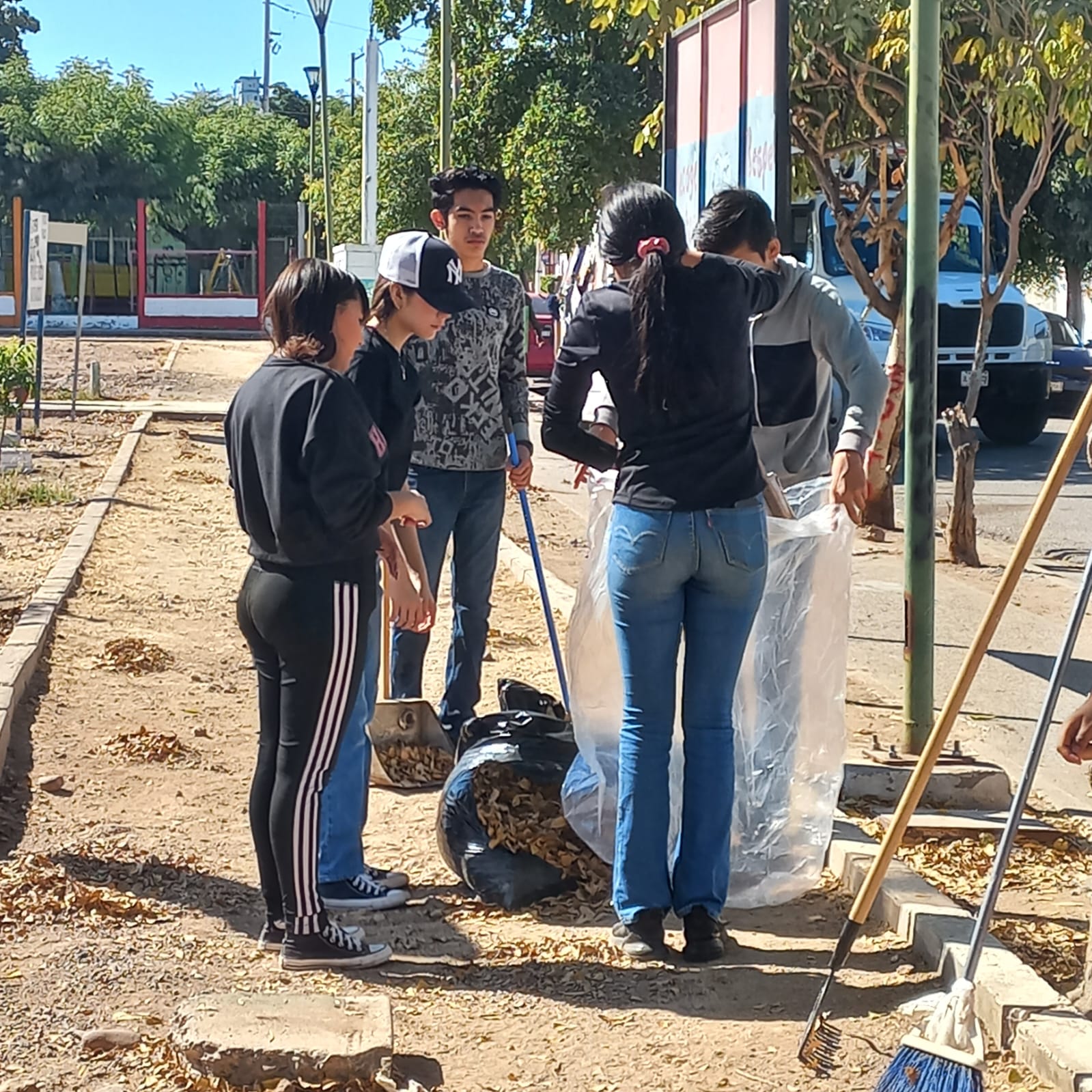 Imagen 5